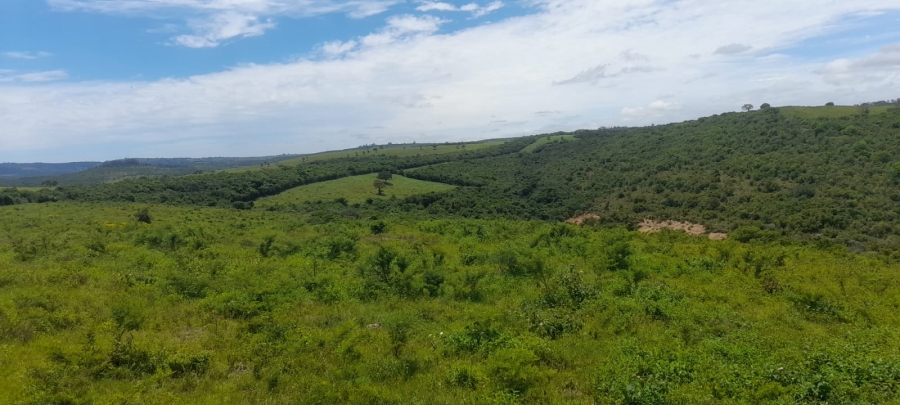 Commercial Property for Sale in Komga Rural Eastern Cape